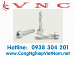 Vít inox đầu lục giác chìm