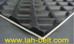 băng tải máy chà nhám thùng