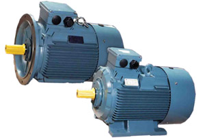 Motor