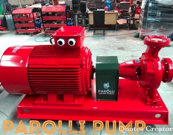 Máy bơm Điện 220HP Parolli PS 150-250/1600 (trục rời)