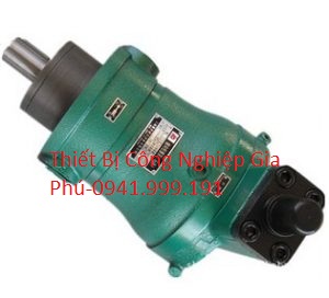 Bơm Piston YCY14-1B