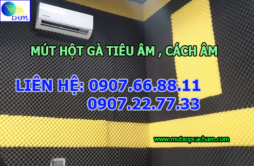 mút hột gà cách âm tiêu âm