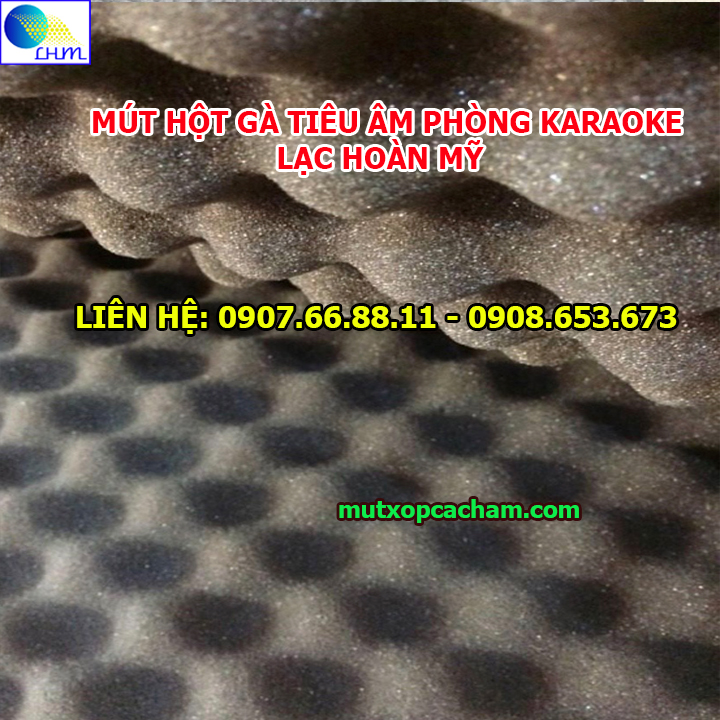 mút hột gà tiêu âm phòng karaoke