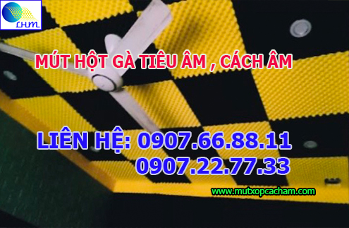 mút tiêu âm hột gà