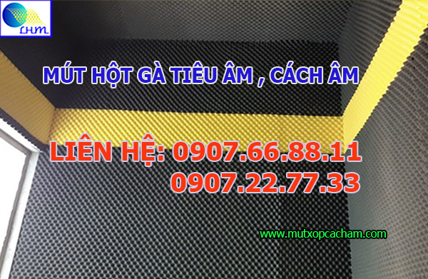 Cty SX TM XNK Lạc Hoàn Mỹ