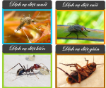 Diệt trừ côn trùng gây hại(ruồi, muỗi, kiến, gián,chuột....