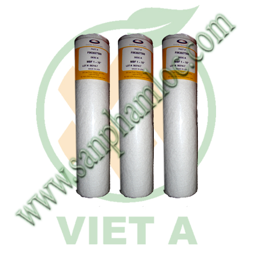 Lõi lọc nén Mỹ