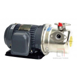 Máy bơm bánh răng vỏ gang đầu Inox NTP HJP