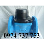 Đồng hồ nước WOLTEX DN 150