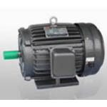 Động cơ Torque YLJ-B100-6