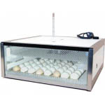 MÁY ẤP TRỨNG GIA CẦM