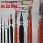 Dây cáp điện TAYA