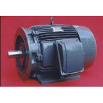 MOTOR MẶT BÍCH TECO