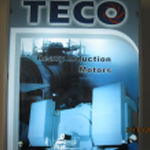 MÔ TƠ TECO RUỘT QUẤN 3.3 -6.6KV