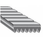 DÂY ĐAI RÃNH DỌC