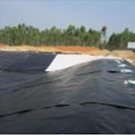 Màng chống thấm HDPE