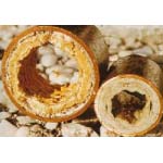 Hóa chất lò hơi, tháp giải nhiệt, tẩy rửa và xử lý nước