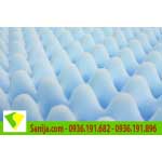 Đặc điểm mút trứng tiêu âm