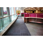 Thảm Trải Sàn Văn Phòng