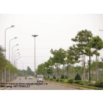 TRỤ ĐÈN CHIẾU SÁNG QUANG HUY