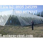 lưới mùng trồng rau