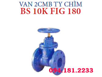 VAN 2CMB TY CHÌM BS 10K FIG 180