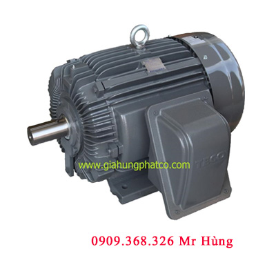 Động cơ Teco chân đế | Giá động cơ Mô tơ Teco | Báo giá motor 3 Pha 1 | Chân đế |