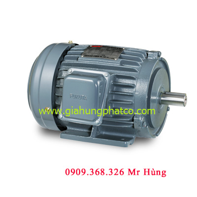 Động cơ chân đế khung gang | Bơm teco chân đế | Giá bơm teco giá rẻ