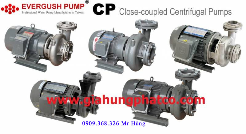 Bơm đầu liền( Gang & inox) | Máy bơm teco | Đại lý máy bơm teco chính hiệu