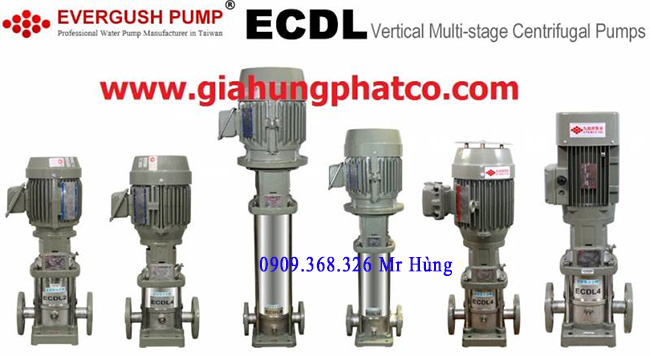 Bơm teco trục đứng | Máy bơm trục đứng | Máy bơm ly tâm trục đứng