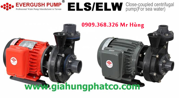 Bơm đầu nhựa hóa chất Evergush | Bơm hóa chất | Máy bơm hóa chất | Bơm teco axit