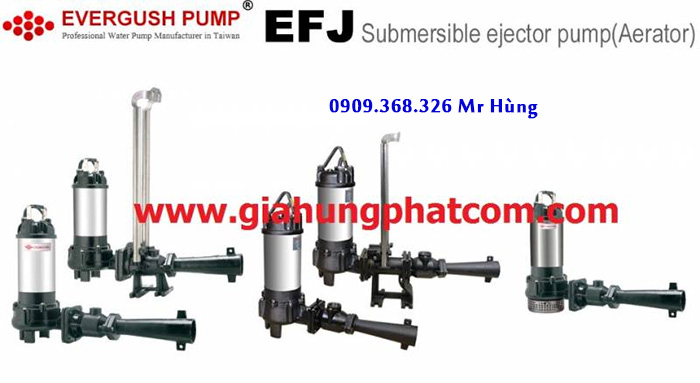 Máy thổi khí Evergush | Máy Sục Khí Chìm Đài Loan | Gia Hưng Phát | Máy thổi khí Evergush