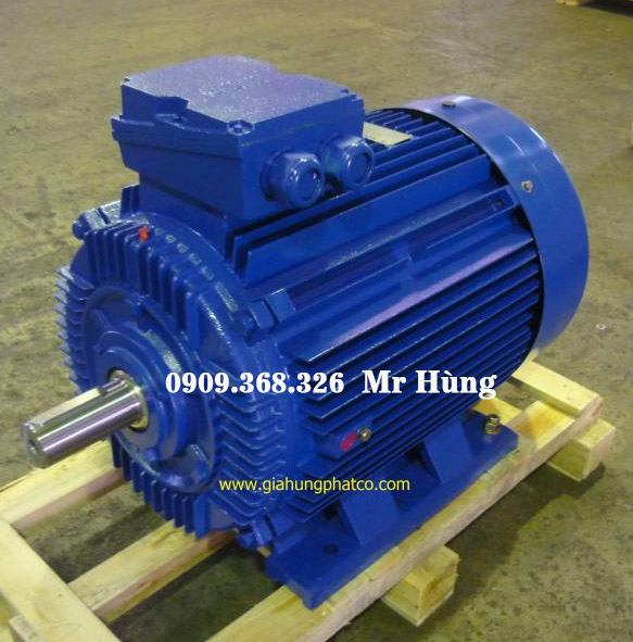 Động cơ chân đế