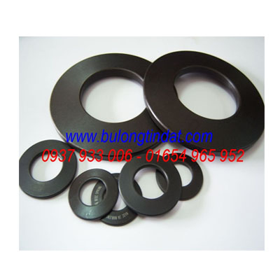 Long đền lò xo - DIN2093