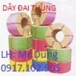 DÂY ĐAI THÙNG PP, DÂY ĐÓNG THÙNG, DÂY CỘT THÙNG, 0977302905