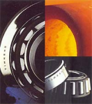 Bạc đạn bac dan bacdan