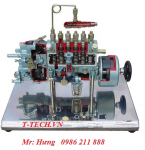 thiết bị dạy nghề, động cơ cắt bổ,Động cơ phun xăng điện tử - đa điểm, 4 xylanh - cắt bổ