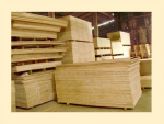 VÁN ÉP (PLYWOOD)THÔNG DỤNG