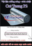 Chống nóng, cách nhiệt mái tôn nhà xưởng CAT TUONG P2