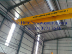 cầu trục dầm đôi