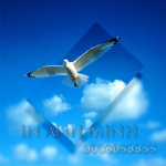 In tờ rơi giá rẻ số lượng 1000 tờ