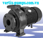 Bơm Pentax trục ngang nhập khẩu nguyên chiếc