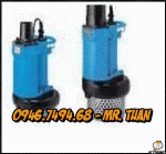 Bơm nước hố móng Nhật Bản