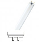 Bóng đèn T8 - Color Proof