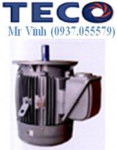 MOTOR MẶT BÍCH TECO