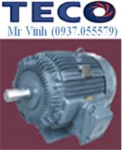 ĐỘNG CƠ PHÒNG NỔ TECO