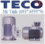 motor chân đế TECO