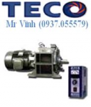 MOTOR BIẾN TẦN  TECO
