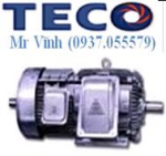MOTOR TRUNG THẾ TECO