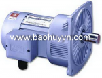 Motor Giảm Tốc ( Hộp Giảm Tốc )